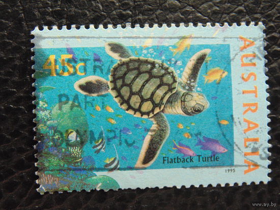 Австралия 1995 г. Морская фауна.