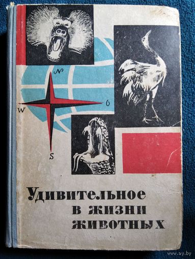 Удивительное в жизни животных.  1970 год