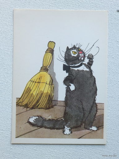 Каневский кот 1965   10х15 см