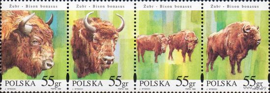 Польша. 1996. Фауна. Зубры