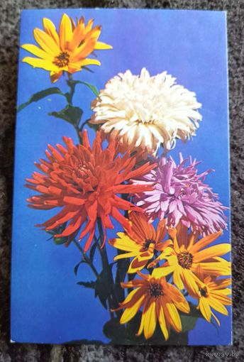 Композиция из цветов.