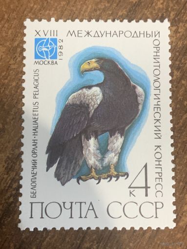 СССР 1982. Белоплечий орлан. Марка из серии