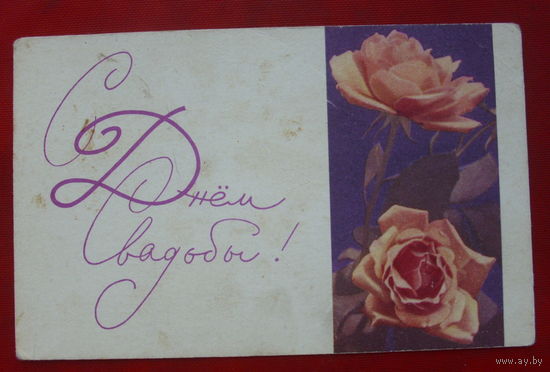 С днём свадьбы! Чистая. 1967 года. Фото Штеренберг. 1596.