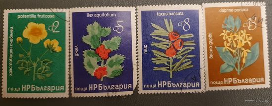 Болгария цветы 4шт