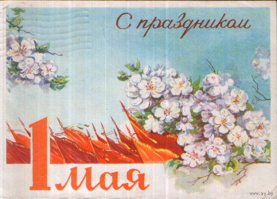 Подписанная открытка 1962г. "1 Мая. Знамена и цветущие яблони" худ. Н. Круглов