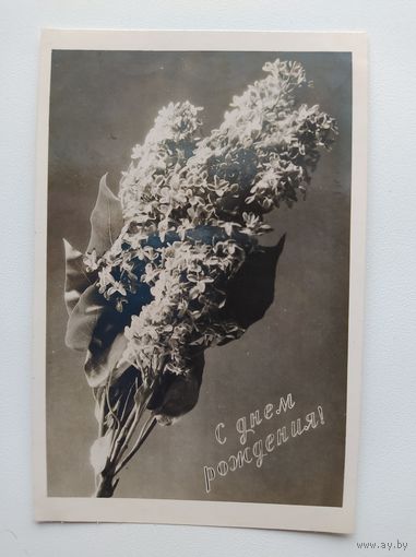 Открытка С днем рождения! Фото А. Громова. 1959 год. Подписана!