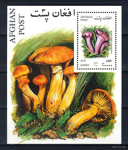 2001 Афганистан. Грибы
