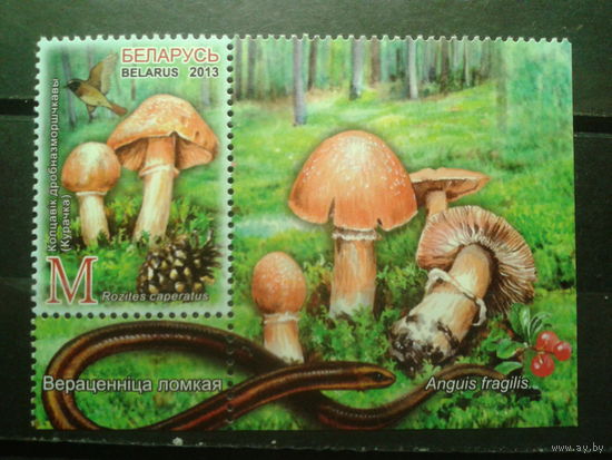 2013 Грибы с купоном, змея**
