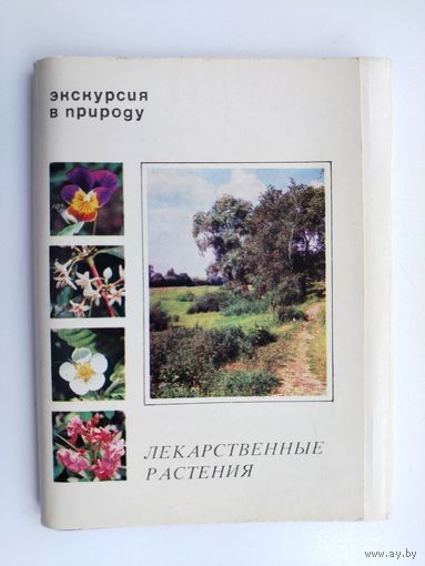 Экскурсия в природу. Лекарственные растения. Набор открыток 1977 года ( 25 шт. ) Н-26.