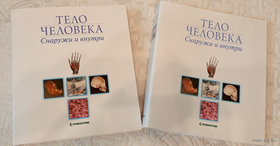 Коллекция журналов DeAgostini "Тело человека: снаружи и внутри" 1-89
