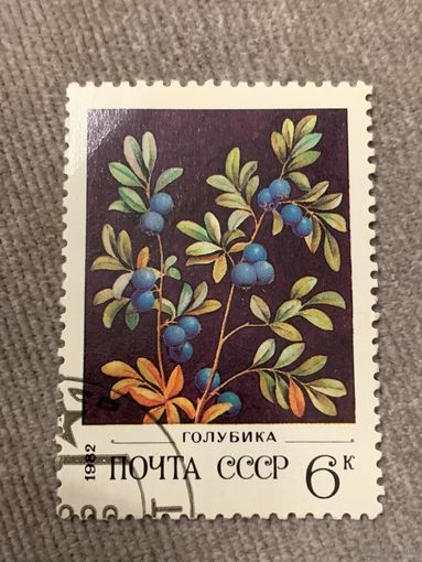 СССР 1982. Голубика. Марка из серии
