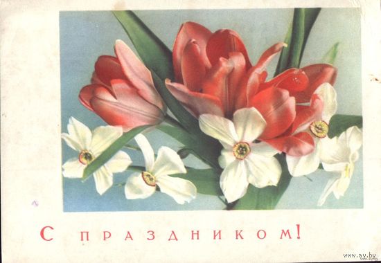 1966 год А.Шерстнёв С праздником!