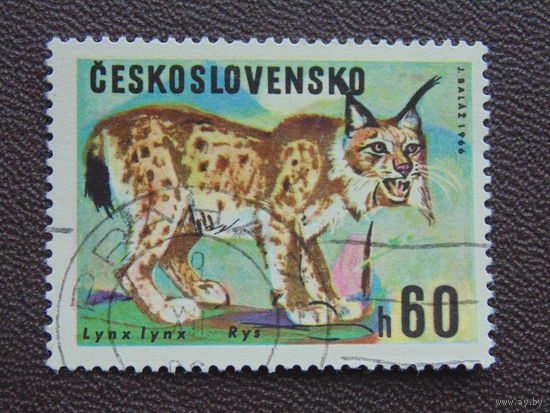 Чехословакия 1966 г. Рысь.