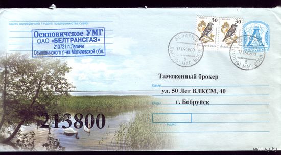 2008 год Лебеди