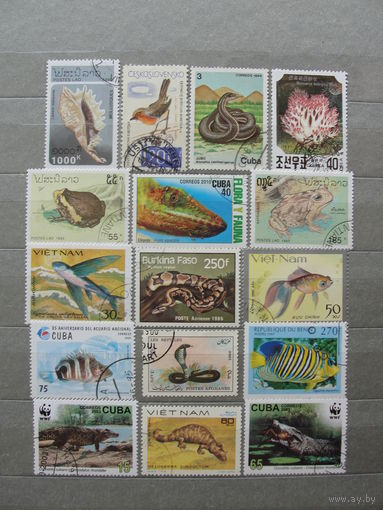 Продажа коллекции с 1 рубля! Фауна на почтовых марках мира.