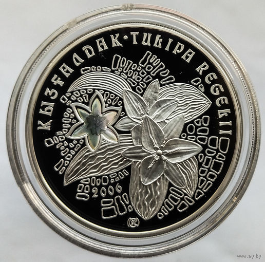 Ag925, 31.1 гр - Тюльпан Регеля, 2006