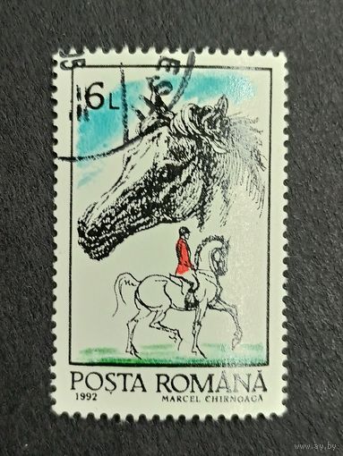 Румыния 1992. Лошади
