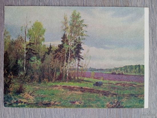 1954. Гусаревич. В мае