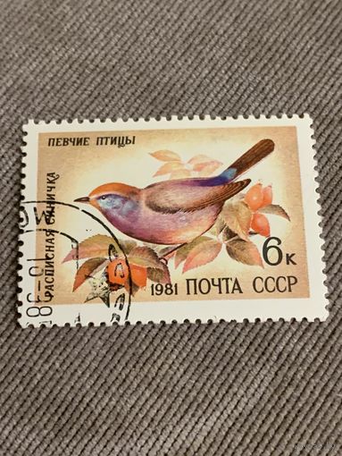 СССР 1981. Расписная синичка. Марка из серии