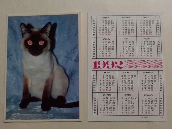 Карманный календарик. Котик.1992 год