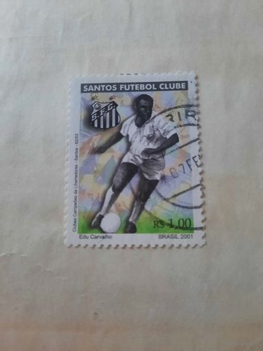 Бразилия 2001. Футбол. Клуб Santos