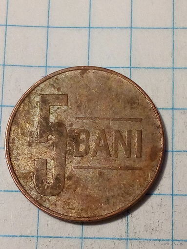 5 бани Румыния 2009 год