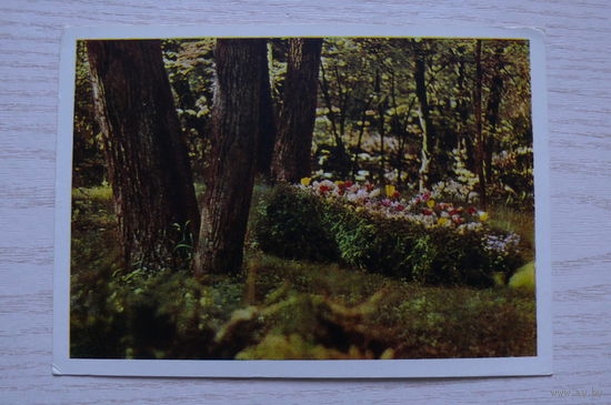 Ясная Поляна; 1963; чистая.