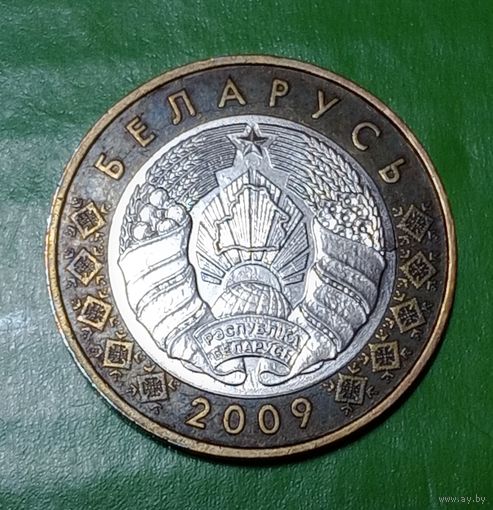 Беларусь 2 рубля 2009  Брак  внутренний раскол