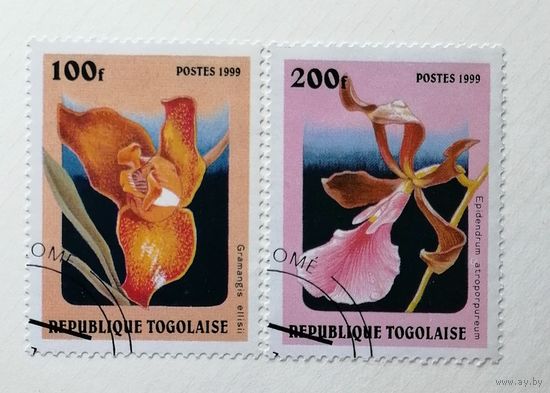 Того 1999 флора. Цветы - орхидеи   2 марки