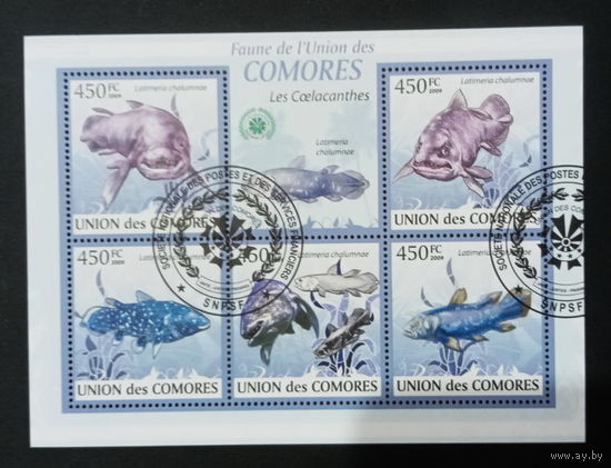 ЛИСТ ФАУНА рыбы морские обитатели  СТО