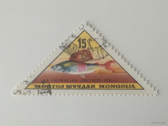 Монголия 1962. Рыбы