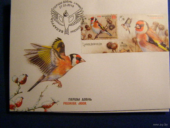 Черноголовый щегол Carduelis carduelis Беларусь 2018 КПД птицы