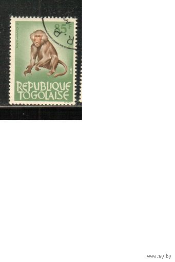 Того-1964 (Мих.401) , гаш.,  Фауна,  Обезьяна