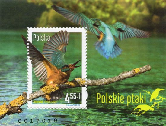 Польша 2013. Птицы. Mi 4603. Блок 213