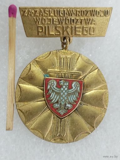 Знак ПНР. За заслуги в развитии Польского воеводства. тяжёлый