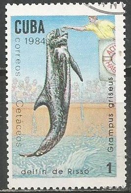 Куба. Серый дельфин. 1984г. Mi#2828.