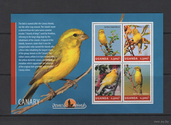 Уганда 2014** Птицы Канарейка