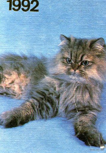 Календарики одним лотом Кошки,