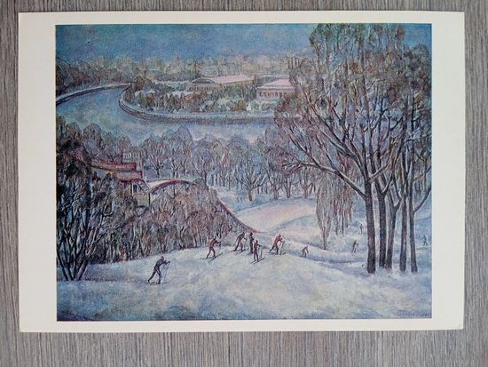 Спорт. Гурвич. Ленинские горы