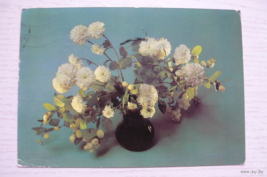 Савалов Е., Композиция из цветов; 1985, подписана.