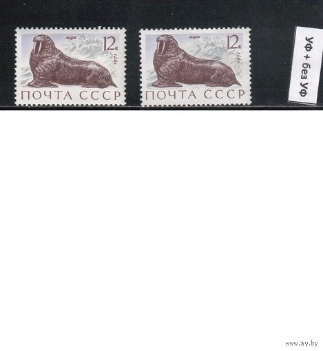 СССР-1971, (Заг.3967), **  , Фауна , Морж, обычная + флуоресцентная бумаги