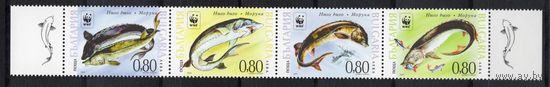 Болгария 2004. Рыбы 4 марки (4678)
