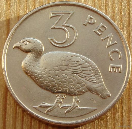 Гамбия. 3 пенса 1966 год  КМ#2  "Двушпоровый турач"   Тираж: 2.000.000 шт