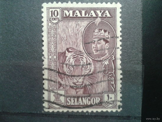 Селангор, 1961. Тигр и султан