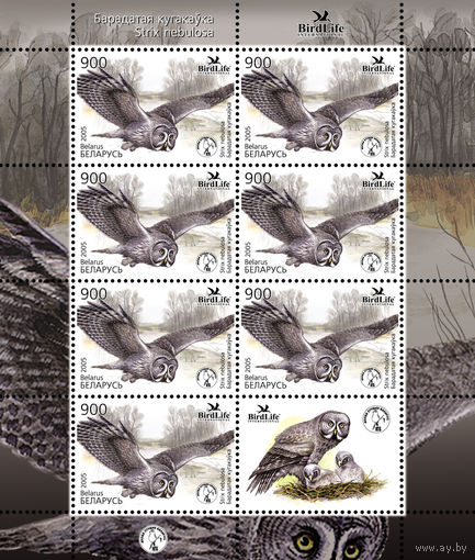 2005 БЕЛАРУСЬ  коллекционная марка Птица года. Бородатая неясыть MNH
