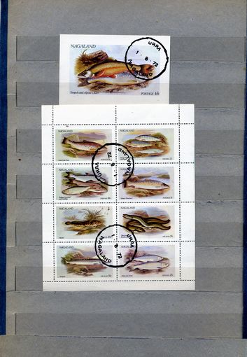 ИНДИЯ,  НАГАЛЕНД, 1972, РЫБЫ,  МЛ 8м + мини-блок