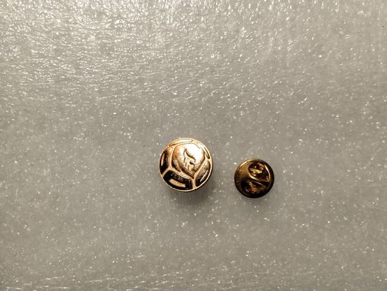 Федерация футбола Беларуси