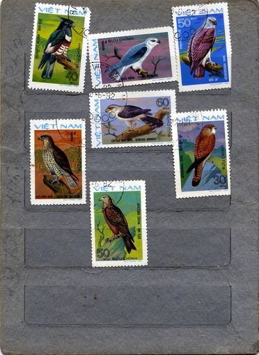 ВЬЕТНАМ, 1982,  хищные ПТИЦЫ,  7м,  гашен