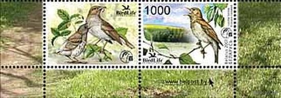 Марка "Птица года. Восточный соловей" + купон