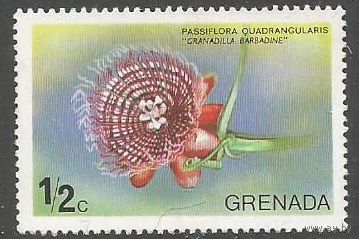 Гренада. Цветы. Страстоцвет четырёхгранный. 1975г. Mi#639.